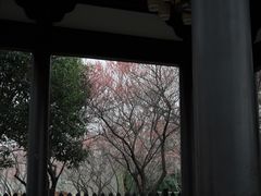 -洋湖国家湿地公园