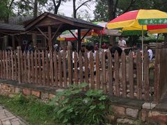 -尚庄度假村·庭台树下·户外烧烤·团建CS·轰趴营地(上庄水库店)