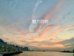 -Cova Ristorante & Caffe(海港城店)