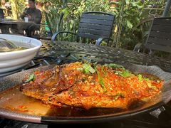 -品德宏·孔雀宴的发源地(金塔园店)