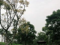 -白鹭湾湿地公园
