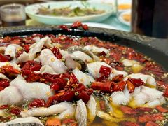 -金三可市井水煮鱼(金碧园店)