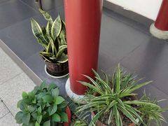 -小陆莲花蟹园农家乐(莲花岛店)