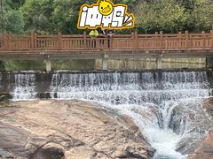 -广州白江湖森林公园