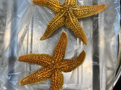 -前王院•巧克力海鲜市集餐厅(万平口店)