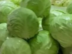 包心菜-桐庐江南农贸市场