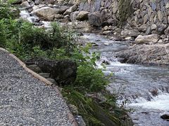 -MOJ coffee(瓯海泽雅水碓坑店)