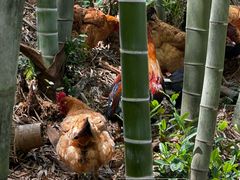 -会稽山峡洞漂流-上青古道