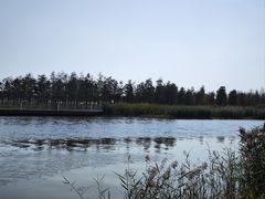 -春花秋色城市公园