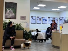 -美联众合动物医院·24h转诊中心
