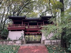 -紫金山山顶公园