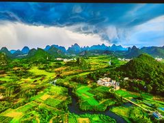 -布兰兔的植物庄园(杭州南宋御街店)