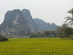 -明仕田园