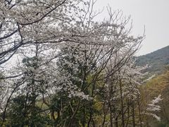 -达蓬山旅游度假区