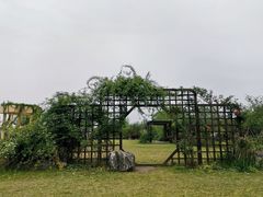 -鹅湖玫瑰文化园