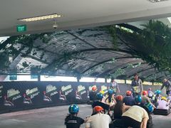 -圣淘沙天际线斜坡滑车