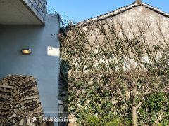 -东钱湖小普陀景区