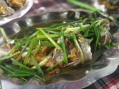 -幸福姐海鲜大排档