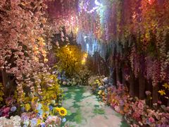 -正佳雨林生态植物园