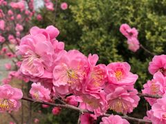 -鹫峰国家森林公园