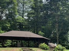 -武吉知马自然保护区