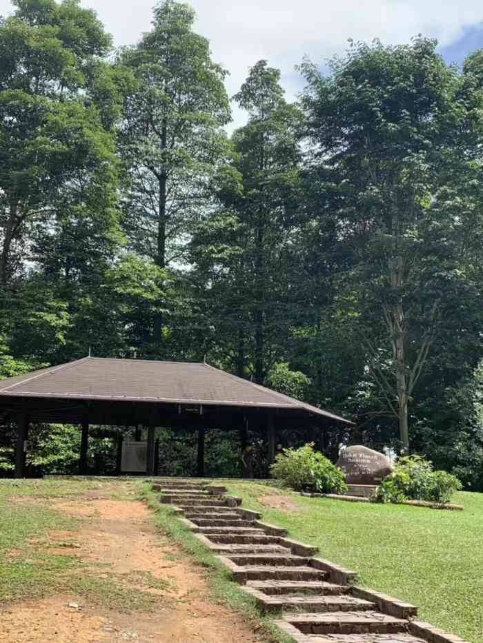 武吉知马自然保护区-"18年7月底,二度造访的新加坡之旅来回5.