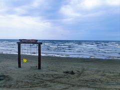 -大鹿岛
