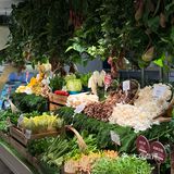 第六季3.0世茂店，惠灵顿牛排无限畅吃！