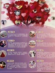 -SILKTONE诗丽堂美容