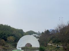 -白鹿原影视城