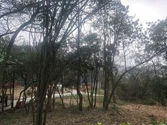 -石燕湖生态旅游景区