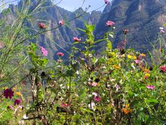 -野三坡清泉山风景区