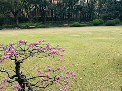 -申粤轩酒楼·三十年粤菜经典(丁香花园店)