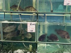 水产区-祈胜邨•顺德鱼生•顺德菜(容桂店)