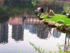 -重庆彩云湖湿地公园
