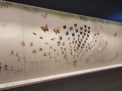 -香港科学馆