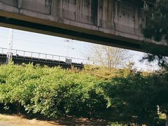 -永定河休闲森林公园