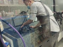 -宠物家(大兴旧宫店)