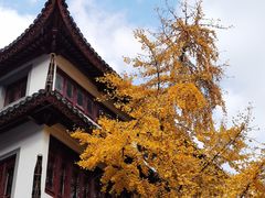 -CoCo都可(香港名都店)