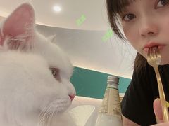 -飞行喵MR PILOT|猫舍·猫咖(静安大融城店)