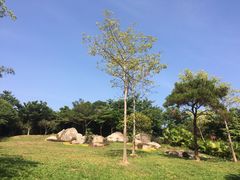 -玉树公园