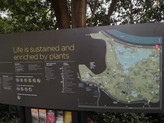 -墨尔本皇家植物园