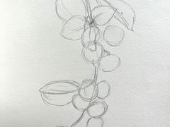 -六出私塾LiuChu•成人美术书法系统课程专业画室(熊婆婆的花园店)