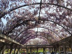 -南通洲际绿博园