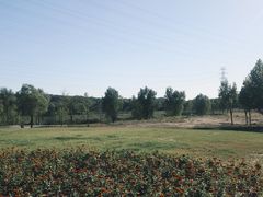 -永定河休闲森林公园