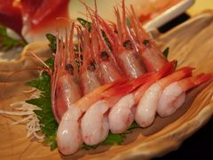 甜虾刺身-鲤·鮨KOISUSHI