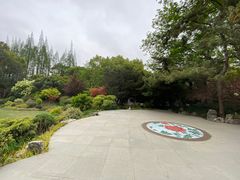 -上海醉白池公园