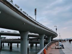 -演武大桥观景平台