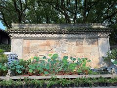 -上海醉白池公园
