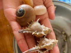 -南澳海滩